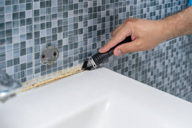 Reliable Live Oak, TX Mold Removal Solutions